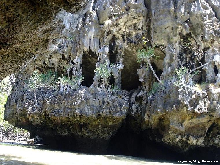 Известняковые пещеры, мангры и илистые прыгуны залива Пхангнга, Таиланд