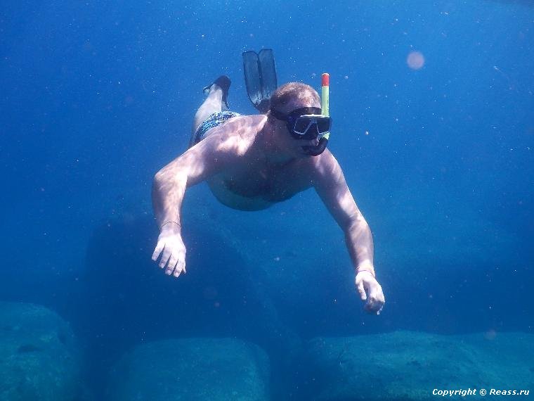 Симиланские острова. Подводный мир